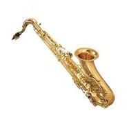 Instrument saxophone Tenor Saxophone In B Flat Key Portable Wind Instrument For Beginners
