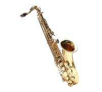 Instrument saxophone tone alto saxophone B flat adult grade test performance beginner portable tube