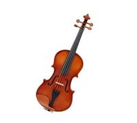 Instrument Violin Adult Beginners Special Solid Wood Entry-level Violin Spruce Maple For Practice Exams (Color : 1/10-1/16)