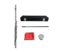 Instrumento de flauta Novice Woodwind Instrument With Closed Hole Flute