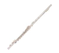 Instrumento de flauta Professional Flute Instrument 16 Holes Closed Hole White Copper Nickel Plated