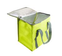Insulated Cool Bag | Leakproof Food Drink Storage Cooler | 12.5L Green
