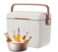 Insulated Cool Box for Camping - Compact Size with 6 Ice Packs - 6L Portable Cooler for Beverages Picnic Hiking Camping Sport BBQ Beach Activities