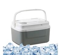 Insulated Cooler Bag Leak Proof Insulated Ice Chest and Lunch Box Car | 8L Portable Insulated Lunch Box For Food And Drink, Fishing, , Travel, Picnic, Tailgate Party, Grilling, Road Trips, Las