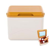 Insulated Cooler Box 5L Cooler Lunch Carrier Box Picnic Package