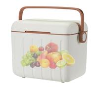 Insulated Cooler - Insulated Box Outdoor with 6 Ice Bags | 6L Portable Ice Box Picnic Cooler for Drinks Daily Hiking Shoe Camping Sports Barbecue Disasters Travel Fire and Other