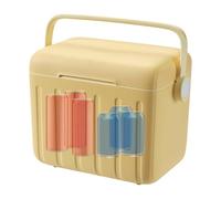 Insulated Cooler - Outdoor Thermal Box with Six Freezer Ice Bags | 6L Portable Cold Chest | Everyday Picnic & Hiking Cooler, Lunch Carrier in the Gym, Camping Barbecue Companion, Beach T
