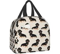 Insulated Lunch Bag Dachshund Weiner Dog Lunch Box for Women Men Leakproof Lunch Bag for Kids Adults School Work Travel