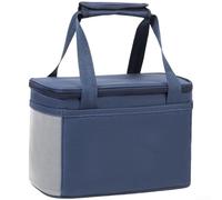 Insulated Lunch Bag Large Capacity, Multi-Compartment Cooler Bag, for Work Picnic Camping, Sturdy 600D Ox, Food Tote with Thickened Handle to Keep Meals(Cyan-S)