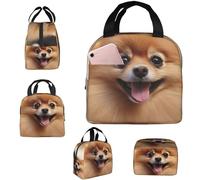 Insulated Lunch Bag Lunch Box for Men Women Pomeranian dog Lunchbox Lunch Tote Bag for Picnic Working