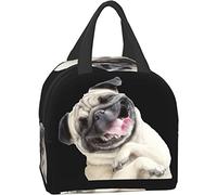 Insulated Lunch Bag Pug Dog Lunch Box for Women Men Leakproof Lunch Bag for Kids Adults School Work Travel