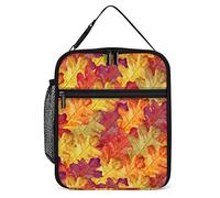 Insulated Lunch Box Bright Autumn Leaves Portable Lunch Bag Oak Maple Reusable Small Cooler Lunchbox for Men Women Picnic Travel