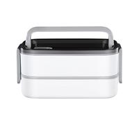 Insulated Lunch Container, 2 Layer Meal Box with Handle, Leak-Resistant Salad Bowl for School Picnic Travel Outdoors
