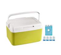 Insulated Portable Cooler - 15L Cool Box with Handle, Outdoor Drink Cooler, Food Storage Container, Leak-proof Ice Chest | Travel Cooler for Picnic, Boat, Camping, Tailgating-A