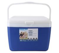 Insulated Portable Cooler Box 13L, Leakproof Outdoor Cooler with Handle, Red - Premium Thermal Insulation, Sturdy Construction for Camping and Picnics (Blue)