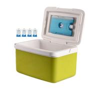 Insulated Portable Cooler - Hard Lunch Box, Leakproof Chiller | 15L PP PE Insulation Layer Durable Build, Outdoor Camping Beach Picnic BBQ Tailgating Fishing Food Beverage Storage With Handle