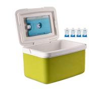 Insulated Portable Cooler, Small Cool Box For Food And Drinks, Cool Box With Handle, 15L Capacity Outdoor Camping Food Beverage Drink Chiller, Ice Boxs For Car, BBQ, Camping And Travel