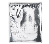 Insulated Sandwich Bags Food Storage Bag Thermal Cooler from Becoming Spoiled, Keep your Snacks and Lunch Cool & Fresh, Zipper Design Aluminum Foil(5 Pcs/Set)(25 * 30cm)