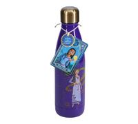 Insulated Steel Bottle World Trade and Technologies Disney Wish Violet 500 ml