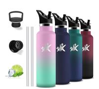 Insulated Water Bottle, 750 ml Water Bottle, BPA Free, Water Bottle with Straw, Leakless, Thermal Bottle, Stainless Steel Water Bottle, Doble Aislamiento, Stainless Steel Water Bottle for Hiking, Gym