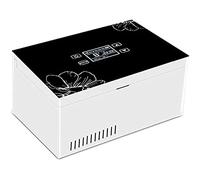 Insulin Cool Box Refrigerator Insulin Cooling Refrigerated Box, Refrigerated Box for Storage, Keep Insulin At The Suitable Temperature, Refrigeration Space 186×110×35mm, Travel