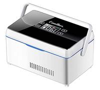Insulin Cooler, Insulin Cooler Travel Case, Medicine Refrigerator Mini USB Portable Medicine Refrigerator Built-in for Medication