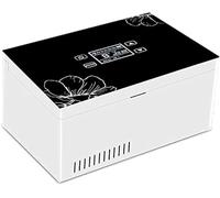Insulin Cooling Refrigerated Box, Refrigerated Box for Medicine Storage, Keep Insulin At The Suitable Temperature, Refrigeration Space 186×110×35mm, Travel/No Noise,A