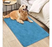 Insun Rugs for Bedroom Living Room Dorm, Fluffy Soft Non Slip Indoor Floor Carpet Home Decor Aqua Green 47" x 71"