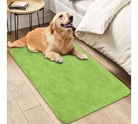 Insun Rugs for Bedroom Living Room Dorm, Fluffy Soft Non Slip Indoor Floor Carpet Home Decor Green 1 79" x 79"