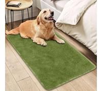 Insun Rugs for Bedroom Living Room Dorm, Fluffy Soft Non Slip Indoor Floor Carpet Home Decor Green 2 24" x 96"