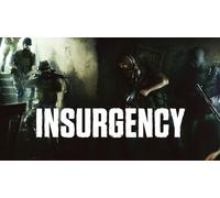 Insurgency