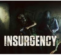 Insurgency RU VPN Required PC Steam Gift
