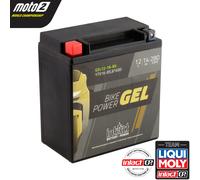 Intact YTX16-BS 81600 Gel Upgrade Bike Power Battery Shake Proof OEM Quality