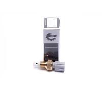 ESEN SKV 17SKV684 Intake air temperature sensor