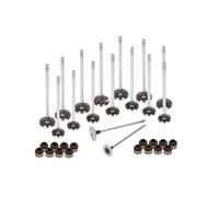 Intake & Exhaust Valve Compatible with 2006-2011 Civic GX EX DX LX R18A1 1.8L 14711-RNA-A00 14721-P2A-000 Spare parts