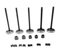 Intake Exhaust Valve Kit Compatible with Yamaha YFZ450R 2009-2023 YFZ450 2004-2009 2017 YZ450F 2003-2009 WR450F 2003-2015 Replace 5TA-12112-00-00