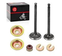 Intake Exhaust Valve & Seal Kit Compatible with Yamaha Gas Golf Cart G2 G5 G8 G9 G11 G14 1989-1996