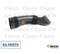 Intake Hose, air filter for BMW F13 F06 F01 VAICO V20-3966