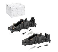 Intake Manifold Compatible with A4 B7 A6 C6 A8 D3 Q7 3.0L V6 TDI Engines - Replaces Part Numbers 059129711CK 059129711CG 059129711BQ 059129712BE 059129712BL(Pair Left and Right)