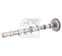 INTAKE SIDE CAMSHAFT 175291