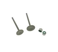 Intake Stem Valve Oil Seal For Ymh Cpton 110 JS110 JYM110 JY110 110cc F8 C8 I8