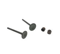 Intake Stem Valve Oil Seal For Ymh Cygs 125 Z XA125 XC125E VITY125 5WGE21110000 5WGE21210000