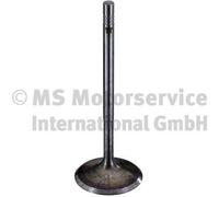 TRW Engine Component 30900 Inlet valve