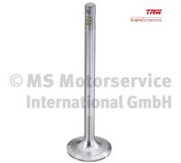 TRW Engine Component 259000 Inlet valve