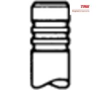 2x ✅Fits TRW 261148 Intake Valve 261148 Intake valve (31,5x6x115,8) ⭐UK Seller⭐