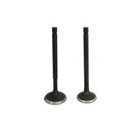 Intake Valves for Szuk AN125 Bugman125 VS125 12912-20E00-00 1291120E0000 4-Stroke Scooter