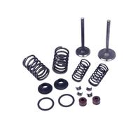 Intake & Valves Set Valve Kit with Valve Spring Assembly Kit for 152QMI 125cc GY6 Engine