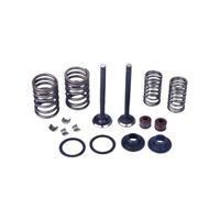 INTAKE & Valves Set With Valve Spring Assembly For GY6 50cc 60cc 80cc 100cc 139QMB 139QMA Cylindr Head Valves 64mm