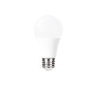 Integral 15W GLS E27 Dimmable - ILGLSE27DC032