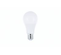 Integral LED Non-Dimmable Frosted GLS Classic Globe Bulb (E27 Screw 13.5 W LED 5000 k 1521 lm) - Cool White